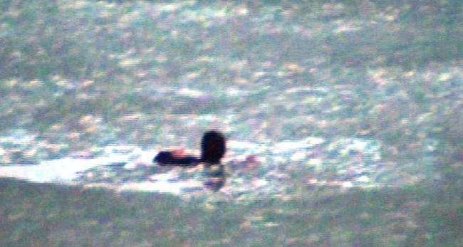 Body of worker found in lake as search goes on in eastern Turkey