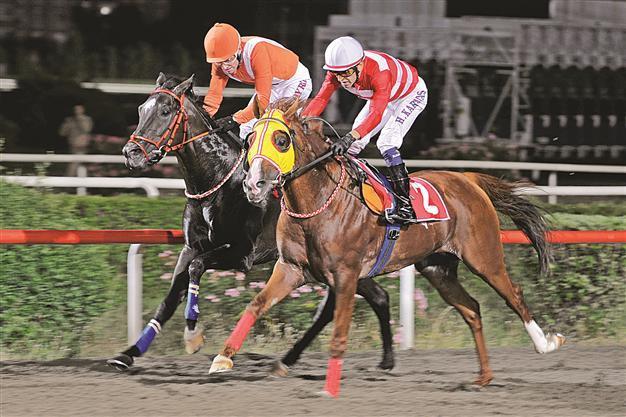 Horce race: Dont miss it