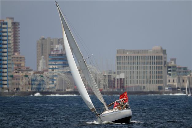 Three dead, one missing in yacht race