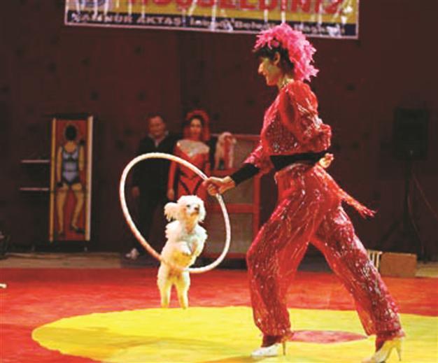 AVRASYA CIRCUS