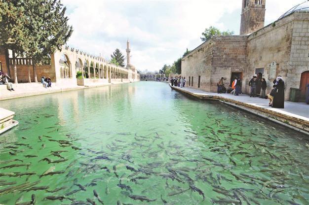 Spanish Agbar looks to invest in southeast Turkey