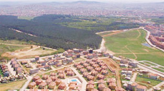 Sales of deforested land fail to impress