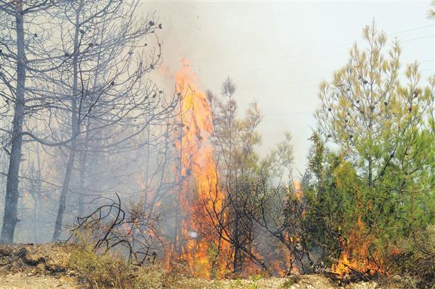 Hatay governor hints at arson claims in fire