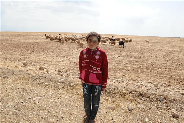 Life returns to normal in Akçakale