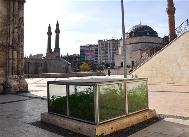 Greenhouse effect ruins artifact