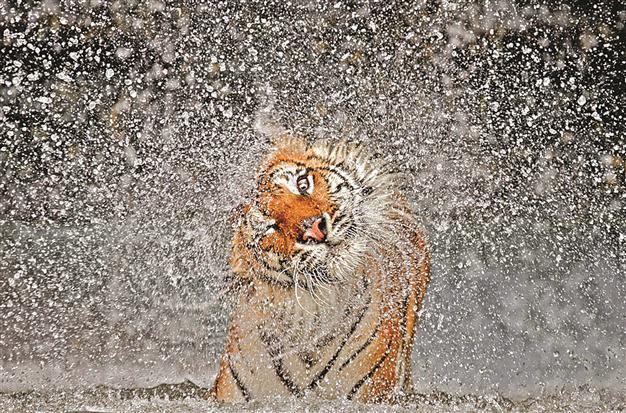 2012 photo contest winners announced