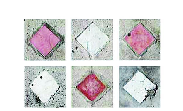 Uygur Yılmaz solo show continues at ArtSümer