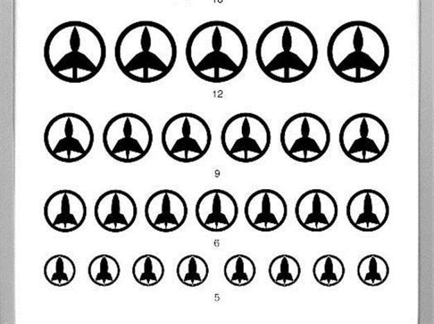 Ceylan Öztürk exhibit at Daire Gallery