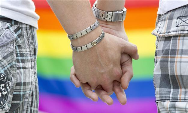 Gays can adopt partners adopted children: top German court
