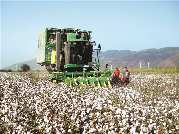 Textile nation suffers from cotton exports