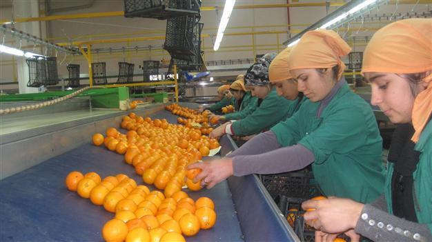 Turkish jobless rate remains unchanged at 9.1 pct