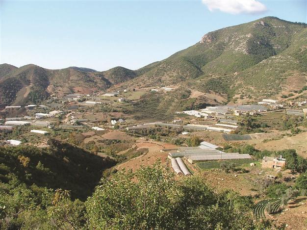 Deforested lands’ owners are worried