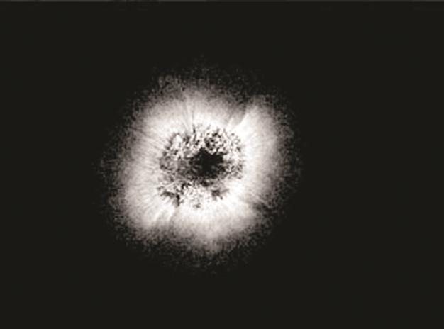 Koray Kantarcıoğlu’s exhibition opens