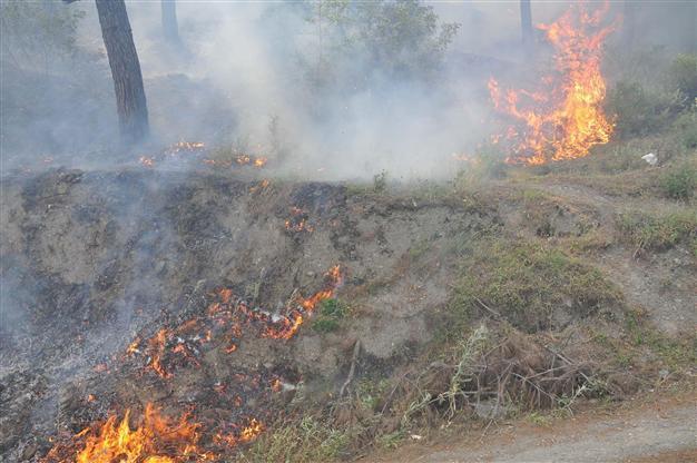 Fire erupts in Aegean province, halts interprovincial traffic