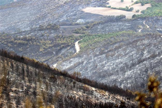 Balıkesir forests in ashes after fire in northwestern Turkey