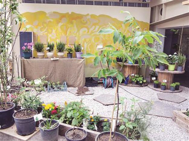 Ecological living workshop at Salt