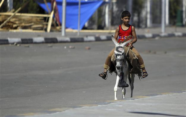 Egyptian arrested for naming donkey after General al-Sisi