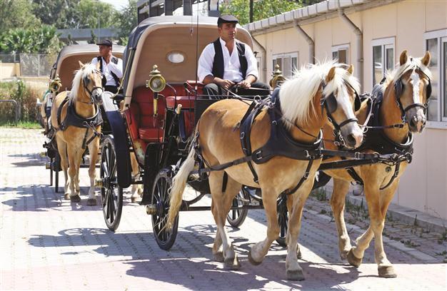 Renewed phaetons very popular among tourists