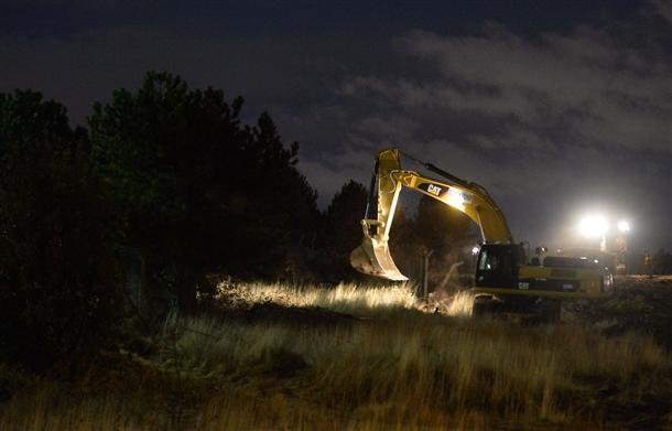 Protesters plant trees where Ankara municipality cut them down on ODTÜ land