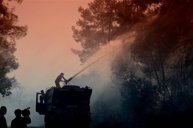 Blazes in Antalya reduce 100 hectares of forest to ashes