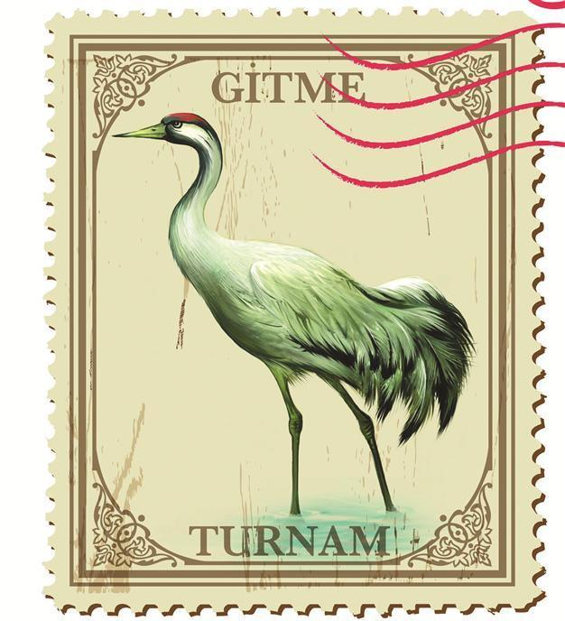 Artists gather for cranes