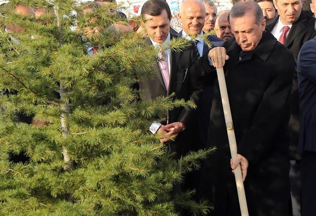 Nobody can compete with us on environmentalism: Turkish PM