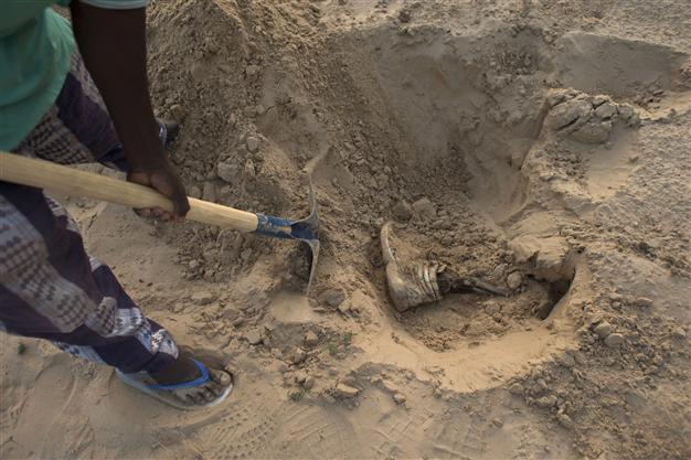 Twenty-one bodies found in Mali mass grave