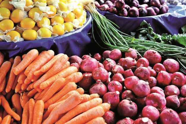 Turkish fruit exports rise 16 pct in a year