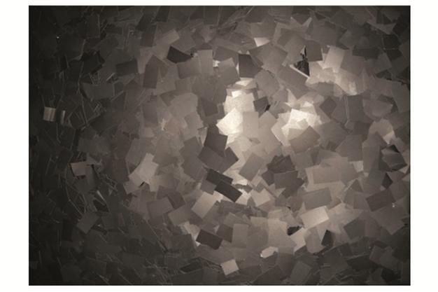 ‘A Universe Supplementary to This One’