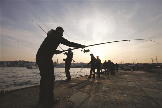 Overfishing, pollution leave Turkish waters bare - Türkiye News