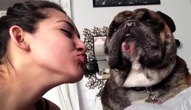 I hate your kisses Sincerely, your pet