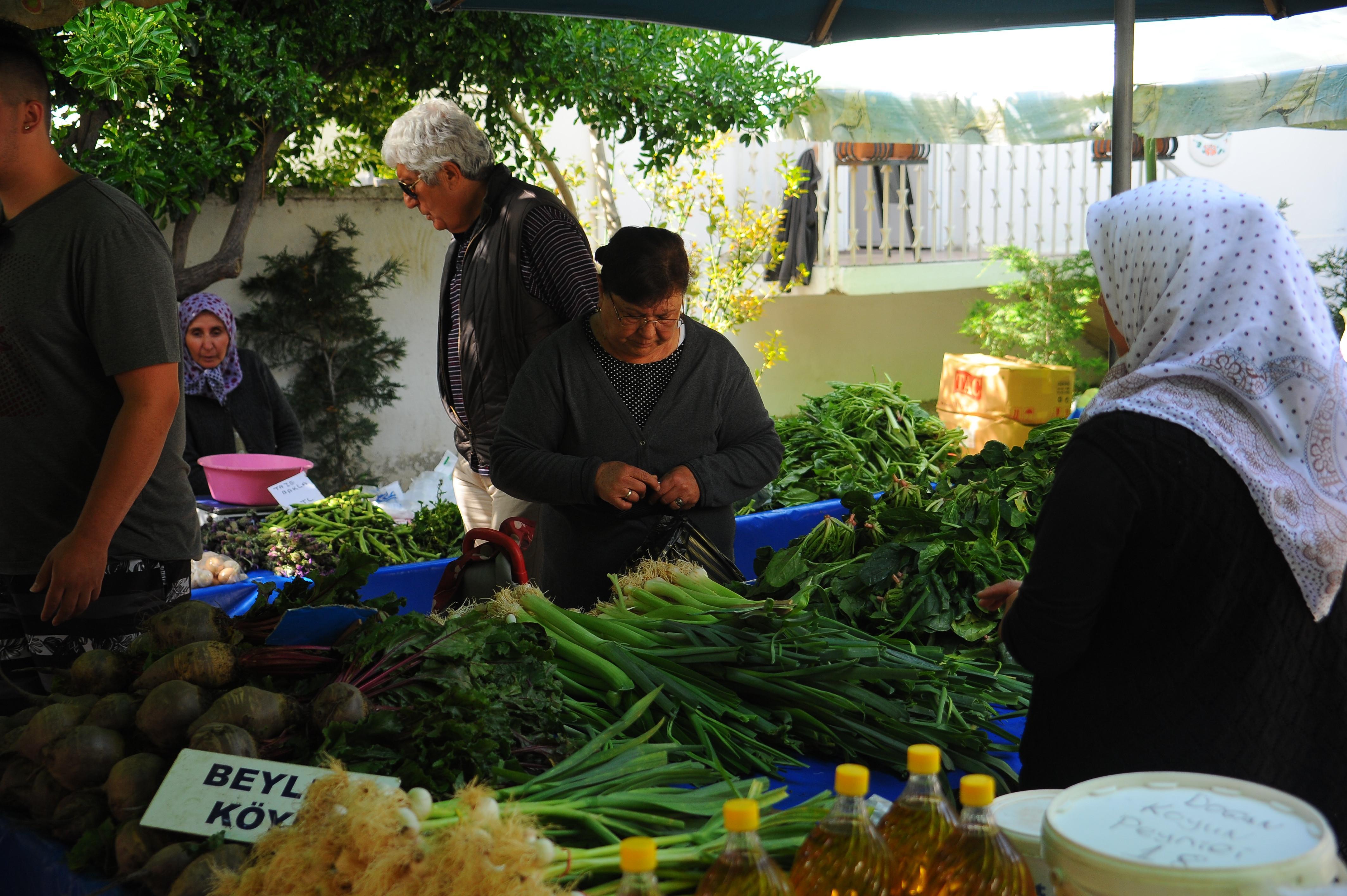 Turkey’s Changemakers: Capital of slowness: Seferihisar
