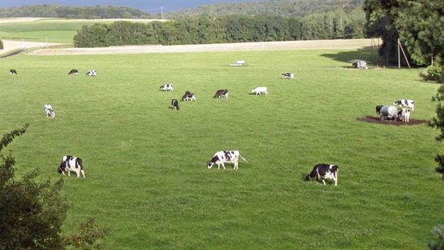 Pastures to be opened to construction as part of urban development projects with new bill