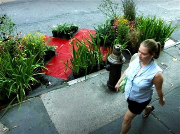 VIDEO: The art of the eco-mindshift