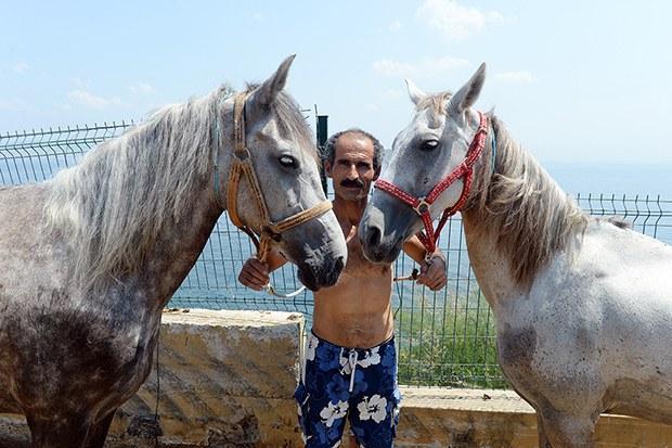 In Istanbul's Princes' Islands, over 500 carriage horses die in a year due  to abuse, heat, overloaded carriages and exhaustion – Straight from the  Horse's Heart