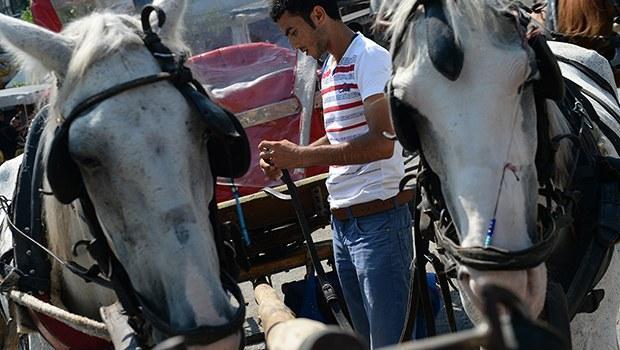 In Istanbul's Princes' Islands, over 500 carriage horses die in a year due  to abuse, heat, overloaded carriages and exhaustion – Straight from the  Horse's Heart