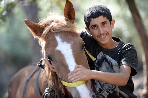 In Istanbul's Princes' Islands, over 500 carriage horses die in a year due  to abuse, heat, overloaded carriages and exhaustion – Straight from the  Horse's Heart