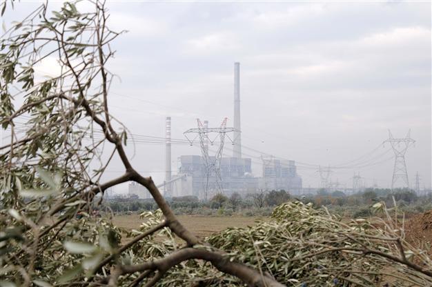 Energy minister claims 9 million trees could be planted with rent from coal plant in Yırca