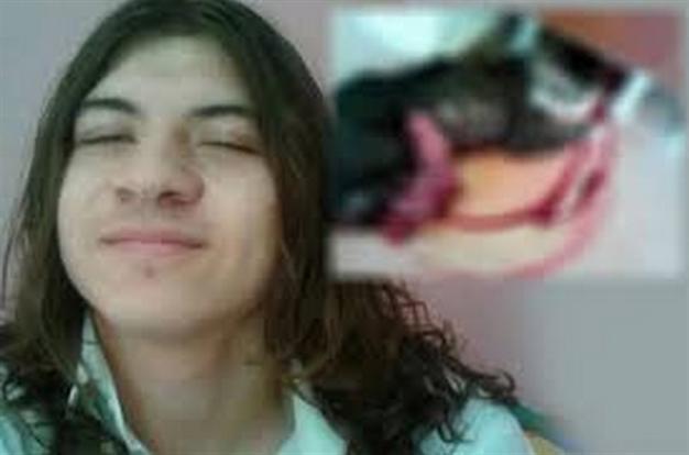 Cat-torturing student to be jailed for three years