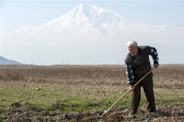 Growth to slow in Central Asia, Caucasus: IMF