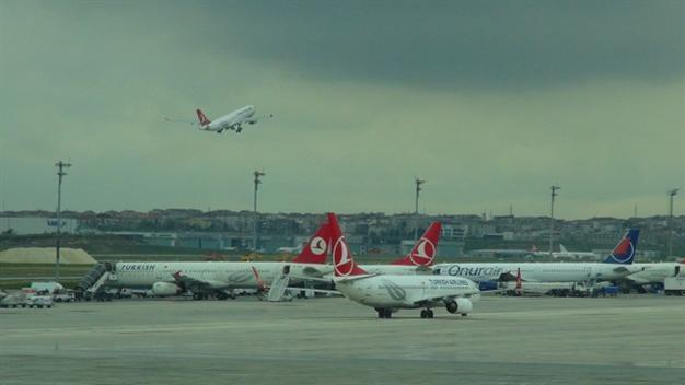 Stray dogs interrupt flights at Istanbul airport