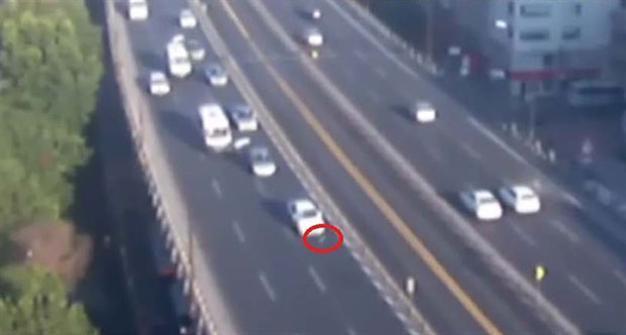 VIDEO: Seagull causes pileup in central Istanbul