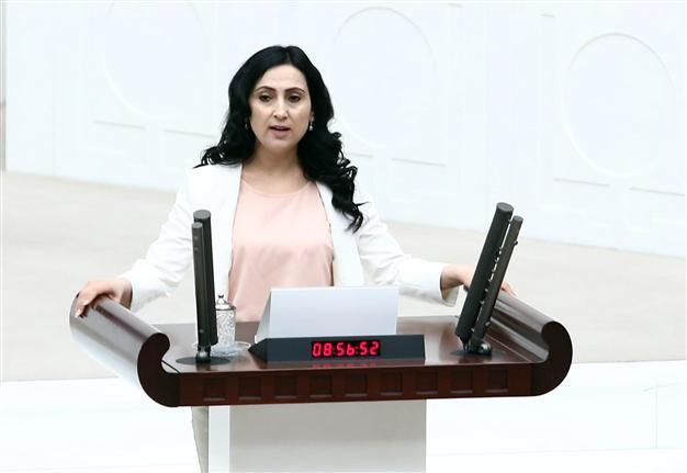 HDP open to coalition with unwilling AKP: co-chair