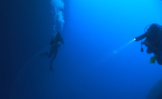 VIDEO: Divers discover four-meter large squid egg mass in southwestern Turkey