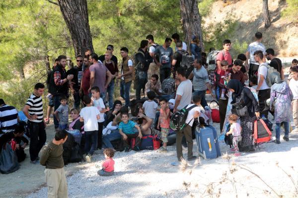VIDEO: 130 Syrian migrants seeking seasonal work found in Aegean woods