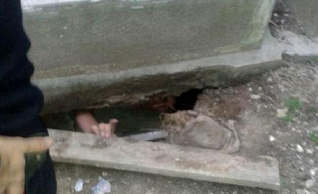 Police fire tear gas at grave robber trapped ‘in search of gold teeth’