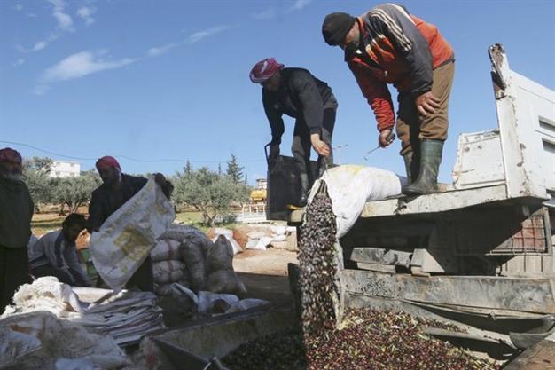 Purchasing power in Syria drops 80 percent since war: Report