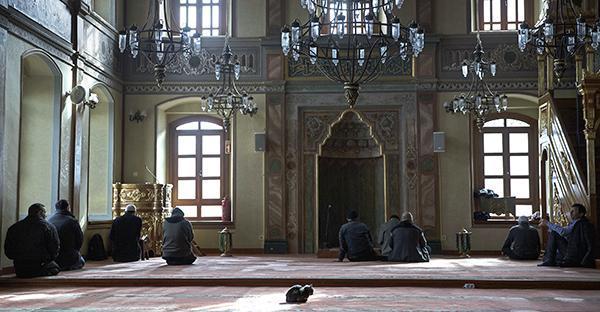 Stray Cats Make Their Home In Historic Istanbul Mosque