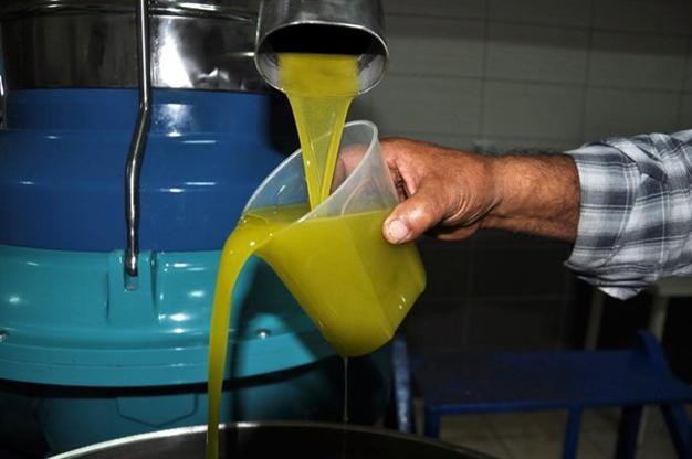 Turkey’s olive oil exports fall by 33 percent due to skyrocketing prices