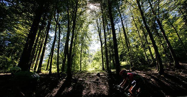 Can we feed the world without cutting forests It can be done, says UN